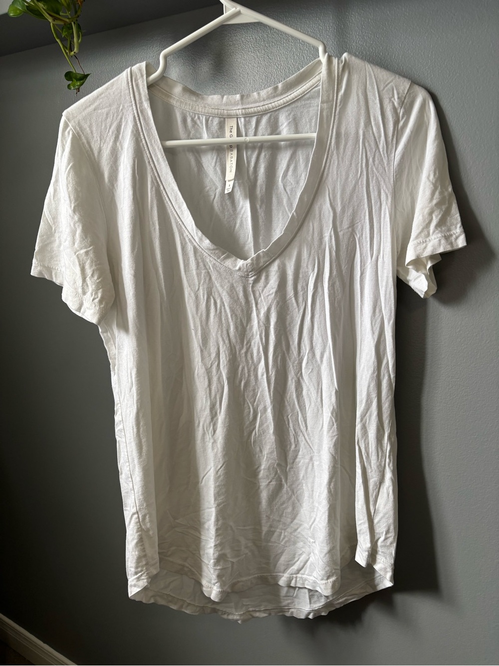 Aritzia Babaton White V-Neck T-shirt
